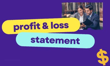 -the-profit-and-loss-statement