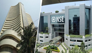 the-stock-market:-what-is-it-and-market-players